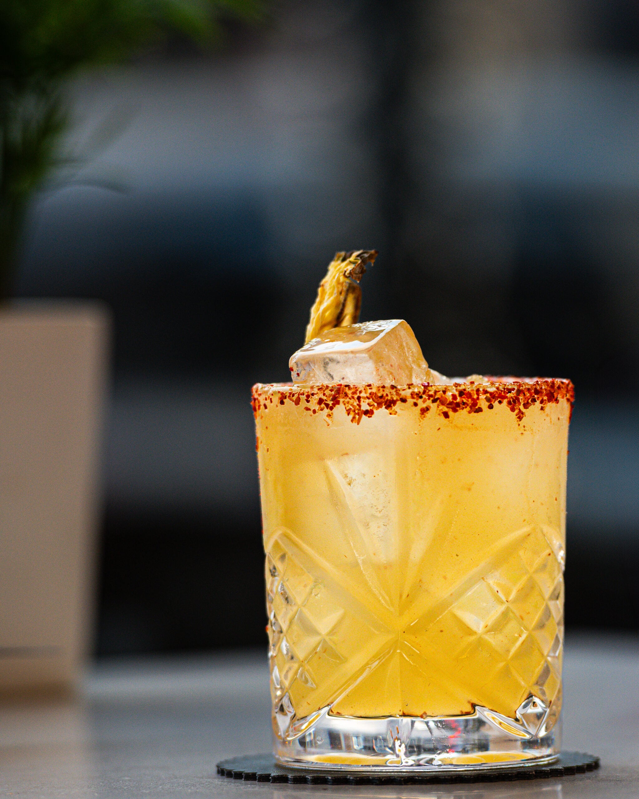 Cocktail at Conejo Negro Toronto